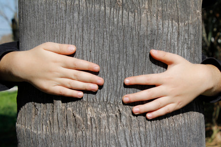 Child's hands on the trunk of a tree, close-upの写真素材