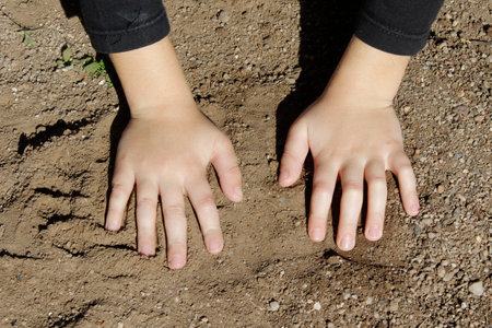 Child's hands in the sand. Selective focus. nature.の写真素材