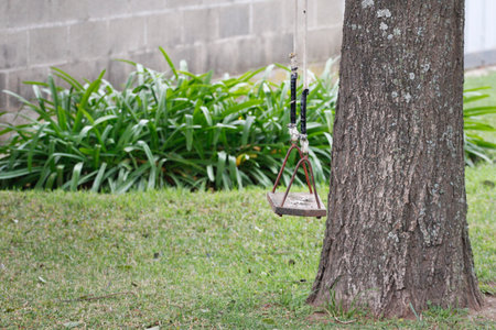 Wooden swing hanging on a tree in the park with green grassの写真素材