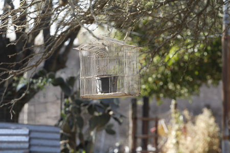 Bird cage in the garden. Selective focus. Shallow depth of field.の写真素材