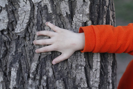 A child's hand reaches for a tree trunk in the park.の写真素材