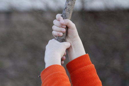 Children's hands holding a stick in the park, close-upの写真素材