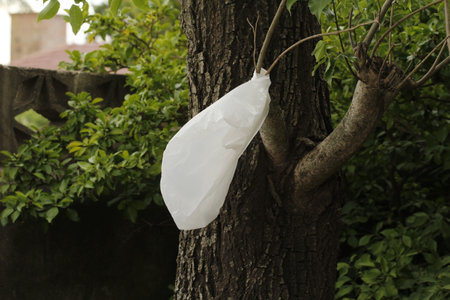 Plastic bag hanging on a tree in the garden. Plastic pollution concept.の写真素材
