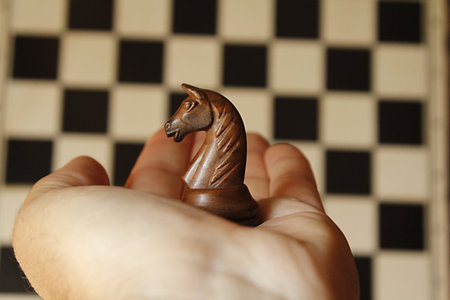 Close up of a chess knight on a chessboard. Selective focus.の写真素材
