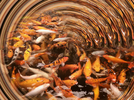 Shoal of fish in Wat Dan, Thailand.の素材