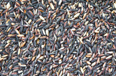 Black sticky rice.の写真素材
