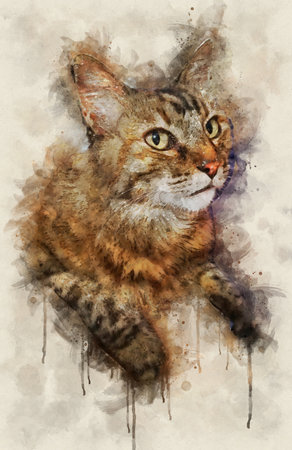 Watercolor illustration of tabby cat portrait lookin upの写真素材