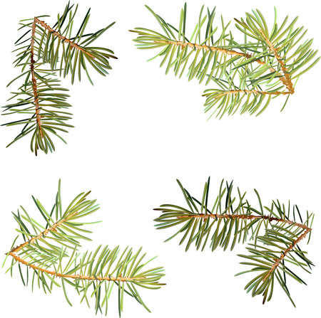 new year, the template for greetings with Christmas trees, vector isolatedのイラスト素材