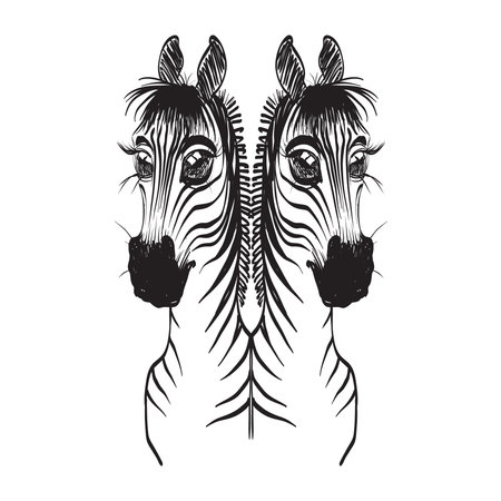 zebra logo sketch vectorのイラスト素材