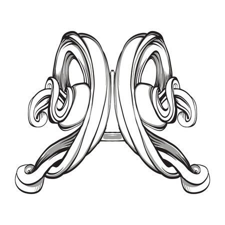 decorative elements in vintage style for decoration layout, framing, for advertising, vector illustration handsのイラスト素材