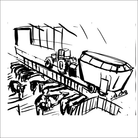 Modern feeding cows on the farm vectorのイラスト素材