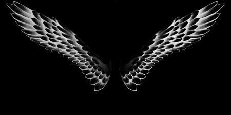 angel wings, lettering, drawingの写真素材