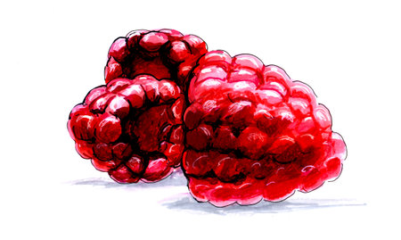 Raspberries, fruits red, pictureの写真素材