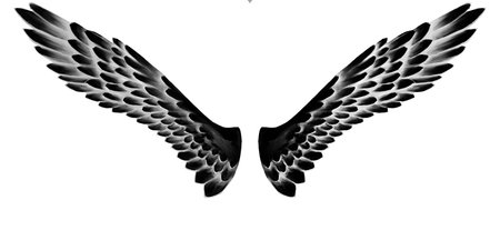 angel wings, lettering, drawingの写真素材