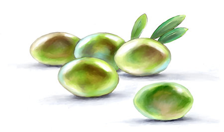 olive green, fruits and leaves, drawingの写真素材