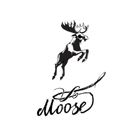moose jumpingの写真素材