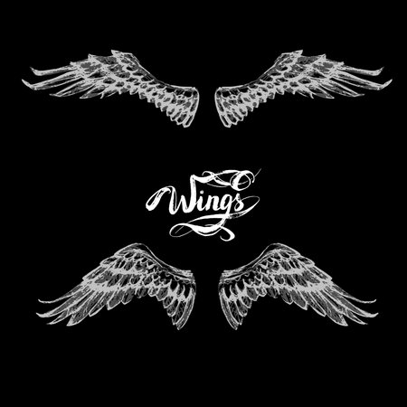 Angel wings, lettering, drawing vectorのイラスト素材