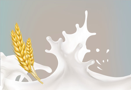 wheat spike milk splashes isolated illustration vectorのイラスト素材