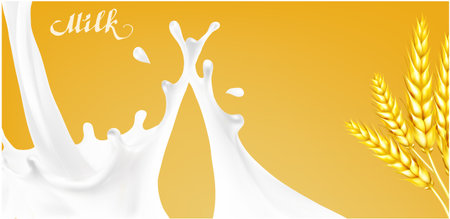 Milk splashes isolated illustrationのイラスト素材