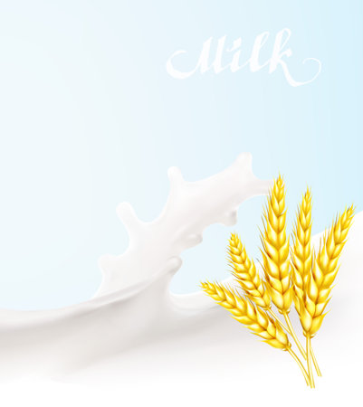 spikelet wheat vector illustrationのイラスト素材