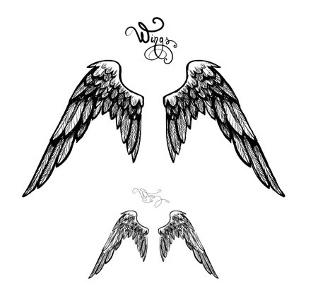 Whings angel. Vector illustration. Printのイラスト素材