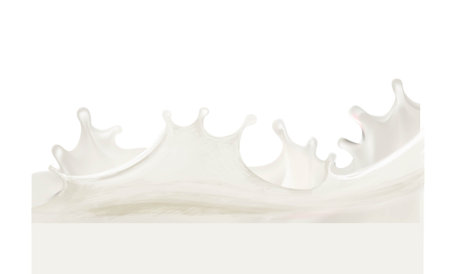 Milk splashes isolated illustrationのイラスト素材