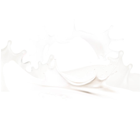 Milk splashes isolated illustrationのイラスト素材