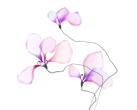 Flowers background illustration watercolor printの写真素材