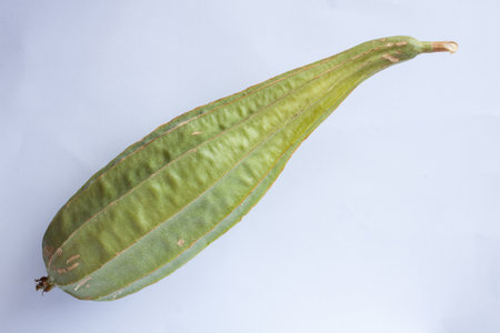 Fresh ridge gourd 