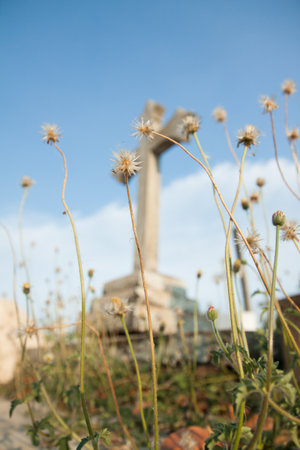 White cross against flower and blue sky の写真素材