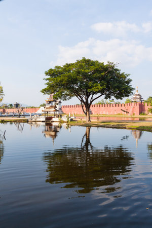 tree on lake at Surasri Camp, Kanchanaburi, Thailand の写真素材