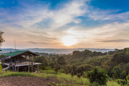 New house in forest_のeditorial素材