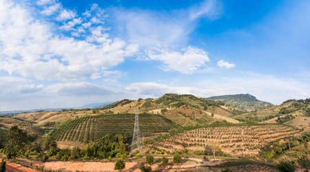 Power lines and view of the Blue Ridge Mountainsの素材 [FY31026368841]