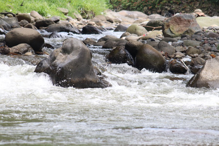 Water flow in rocky riverの写真素材