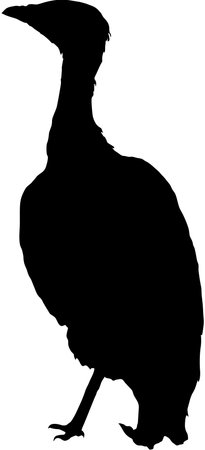 Posing bustard bird silhouetteのイラスト素材