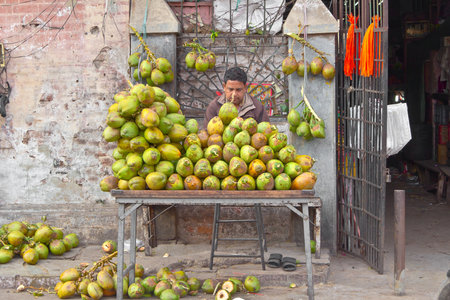 FEBRUARY 2, 2014, AHMEDABAD, GUJARAT, INDIA - Unknown indian sales a coconuts on a streetのeditorial素材