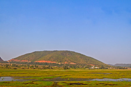 Typical rural landscape in Indian state Andhra pradesh, palms, fields and mountain Eastern Ghatの写真素材