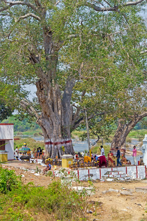 FEBRUARY 23, 2014, SHRIRANGAPATNAM, KARNATAKA, INDIA - Hindu shrines under the tree on the bank of the sacred river Kaveriのeditorial素材