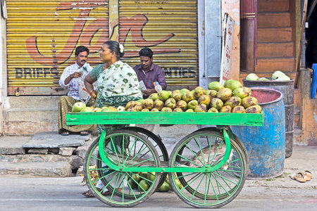 FEBRUARY 2, 2015, TIRUPATI, AP, INDIA - Young woman sales a green coconuts on a street of Tirupatiのeditorial素材