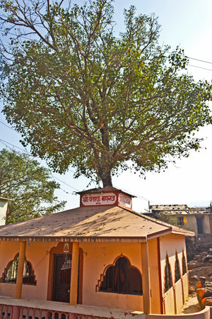 FEB 5, 2015, TRIMBAK, INDIA - Temple of Vetala Maharaj. Vetala is a ghost living in a tree.のeditorial素材