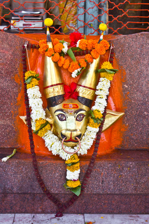 FEB 6, 2015, NASHIK, INDIA -  Deity of Mhasoba Maharaj, buffalo form of Lord Shiva in the famous Mhasoba temple, Nashik, Maharashtraのeditorial素材