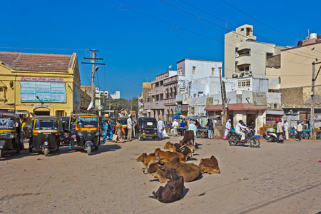 FEB 11, 2015,  DWARKA, INDIA - Central square of sacred town Dwarka, walking people and cows on the streetのeditorial素材