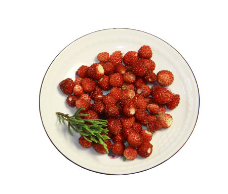 Wild strawberry berries on a round saucer on a white backgroundの写真素材