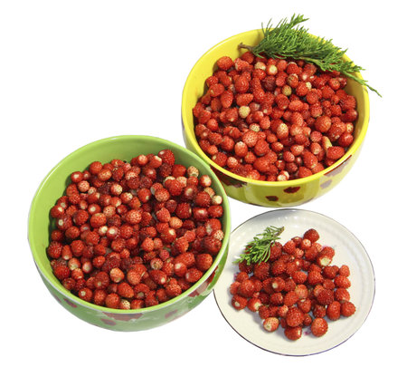 Wild strawberry berries in plates, a saucer on a white backgroundの写真素材