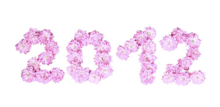 2012 new year from pink roses on a white background 