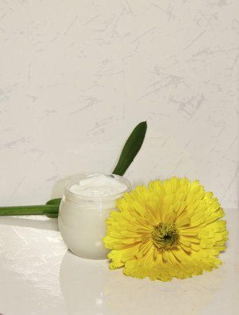 A face cream with a calendula flower on a white background の写真素材