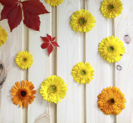 A wooden wall decorated with yellow flowers and red leaves の写真素材