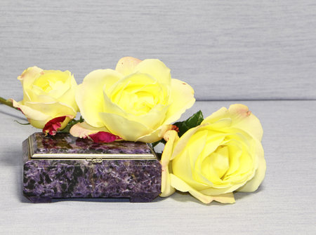 Yellow roses on a lilac casket on a grey background の写真素材