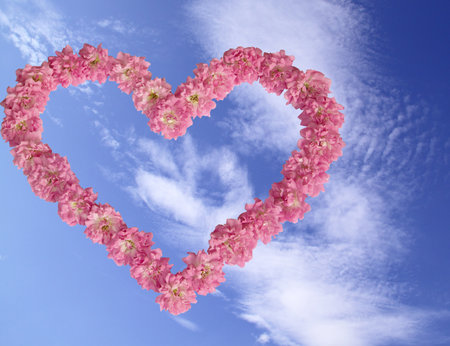 Heart from pink roses against the blue skyの写真素材