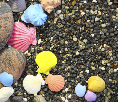 Bright multi-coloured cockleshells on a pebbleの写真素材